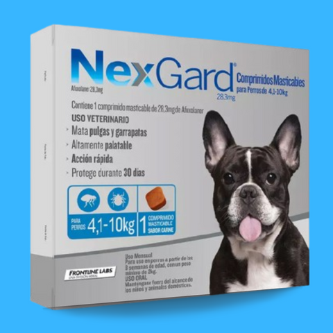 Nexgard-antiparasitario