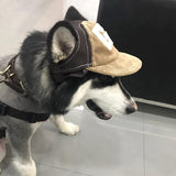 Jockey para perro